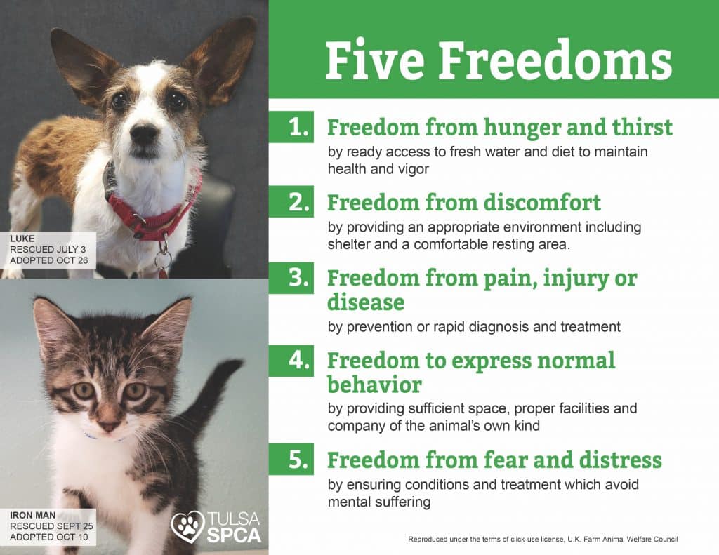 The 5 Freedoms Tulsa SPCA