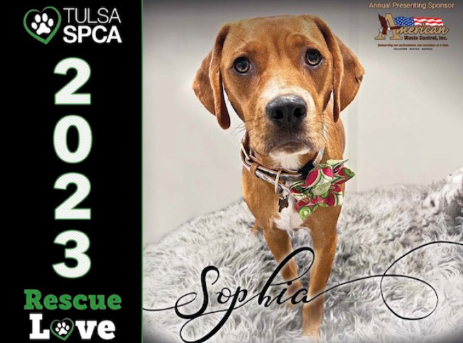 Rescue Love Calendar Contest Tulsa SPCA