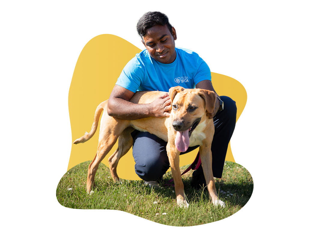 Boy hugging a golden retriever
